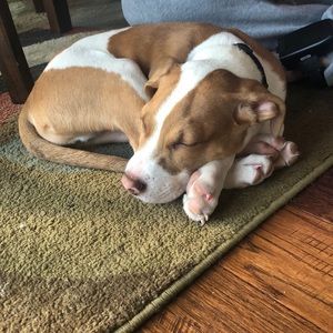 Meet your Posher, Kat